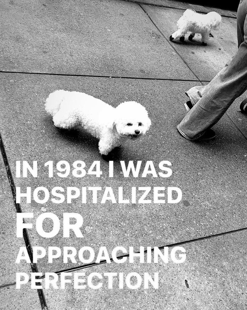 le he presentado como 10 opciones de portada preciosas a esta mujer y al final se ha quedado con una cosa fea e insipida q le ha hecho su puta hermana