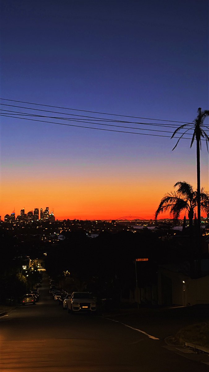 casawee🥭 tweet media