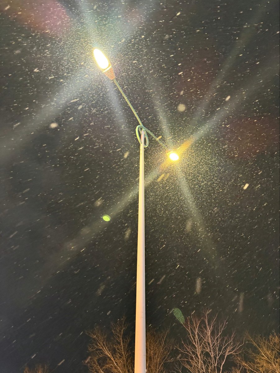 Lin31398194's tweet photo. 初雪的夜晚
微醺 睡不着 https://t.co/irna4rcnnz