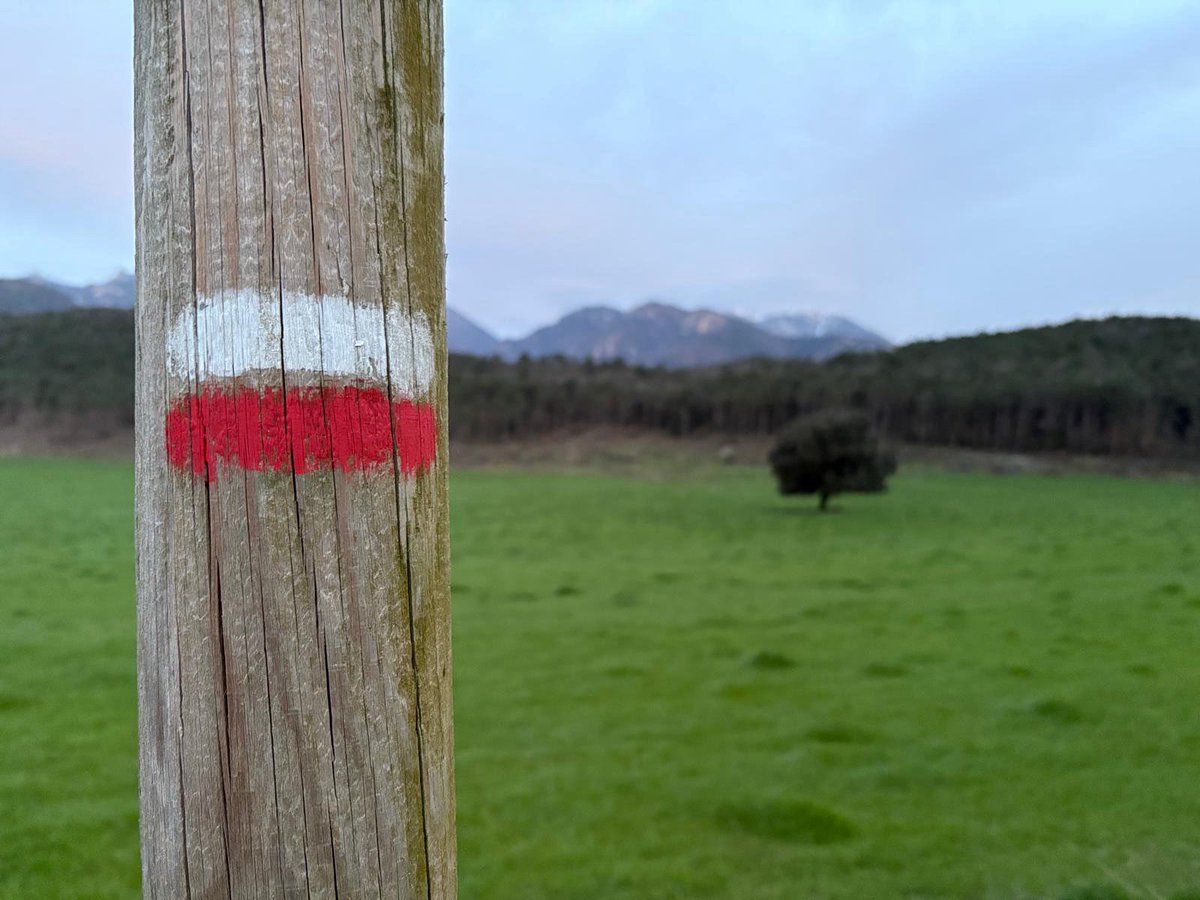 Ajuntament de Vilada tweet media