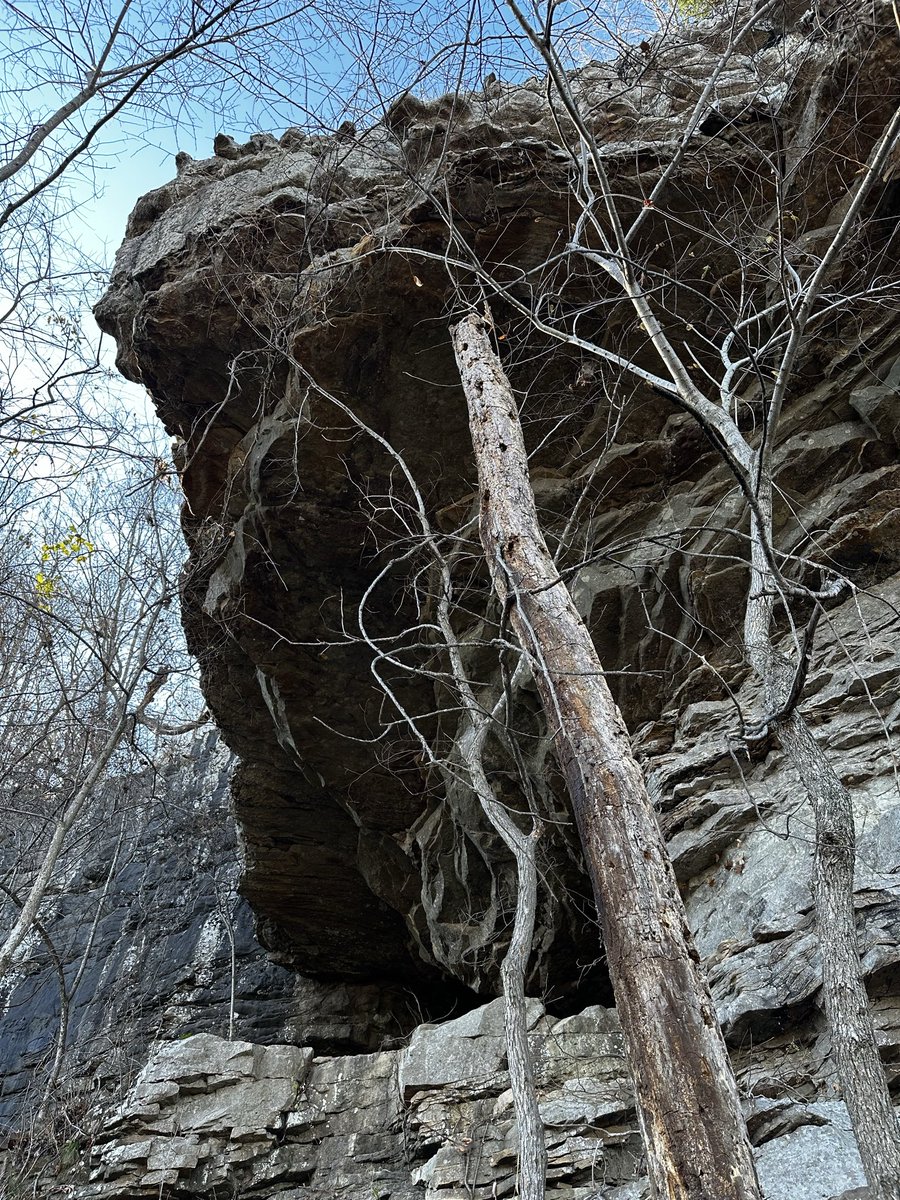 Emerson Biggins (@dub65b) on Twitter photo 