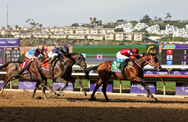 Division rankings: <a href="/DoctorDerby/">Chip Gehrke</a> says 3️⃣ older dirt males clearly stand above the rest.

horseracingnation.com/blogs/Doctor/D…

📸: Bill Denver / Eclipse Sportswire