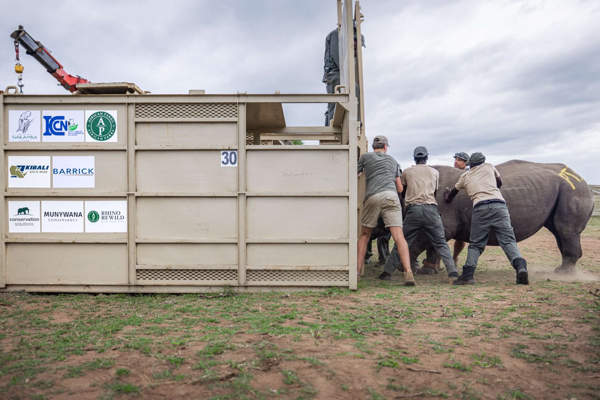 African Parks tweet media