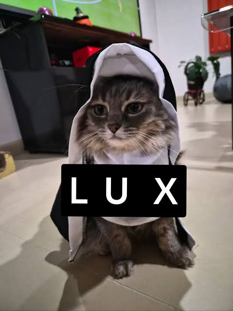 Ubicación en la loma del orto pero tengo entrada para el Lux Tour de Rosalía