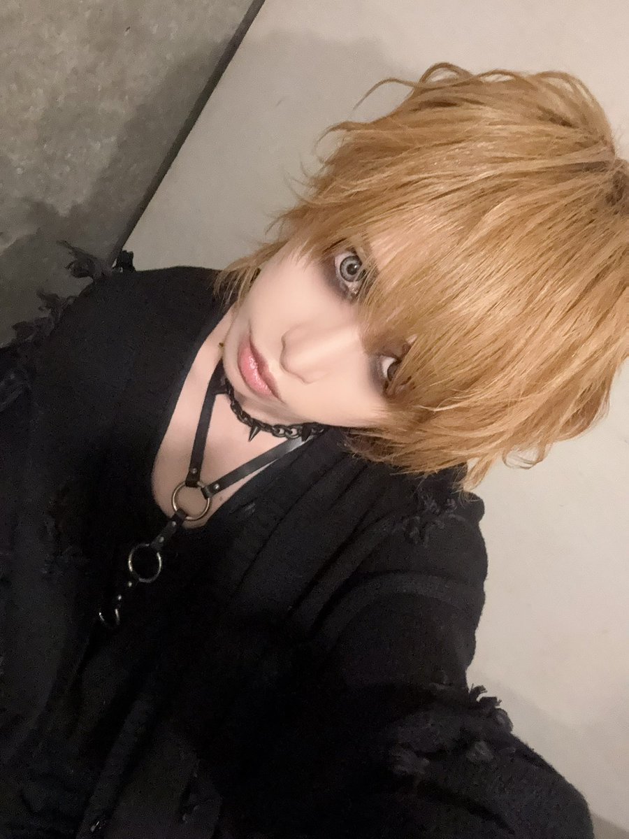 the Raid. Co'COON テンシ the Raid. Co'COON テンシ the Raid. Co'COON テンシ 【公式通販】