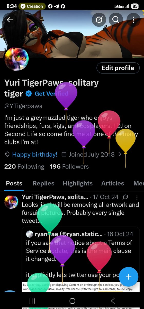 Yuri TigerPaws, solitary tiger tweet media