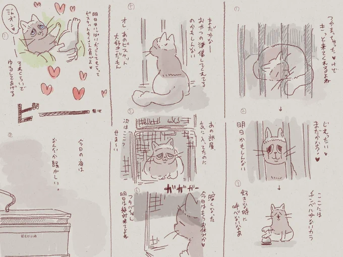 アニマル日和 