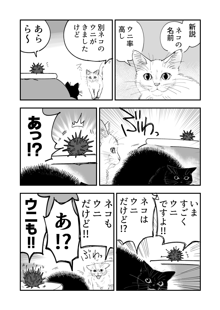 譲れないウニたちのウニ漫画です 