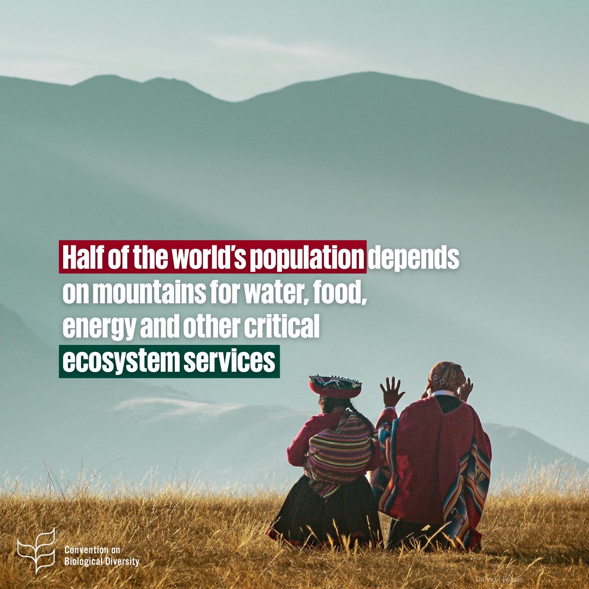 #InternationalMountainDay
Mountain ecosystems are facing growing risks as climate change accelerates🏔️

They are essential for biodiversity, water regulation, food security, livelihoods, &amp; cultural heritage, with impacts reaching beyond mountain regions

🔗cbd.int/doc/speech/202…