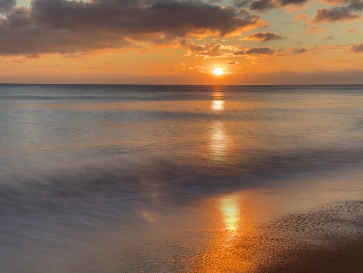 Peter Marteka tweet media