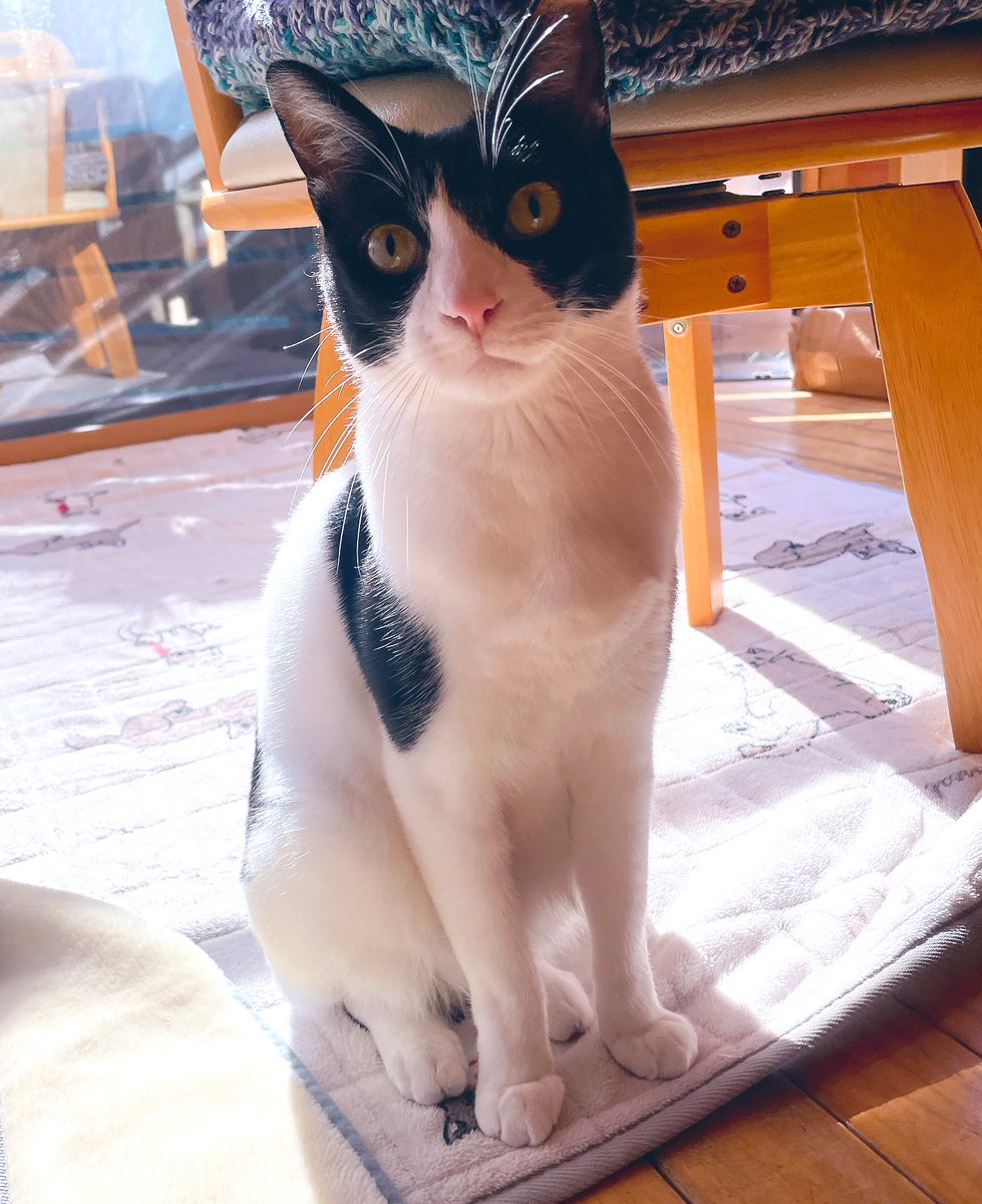 ✱つむぎ様のお世話係✱ (@tsumugi_noriko) / Posts / X