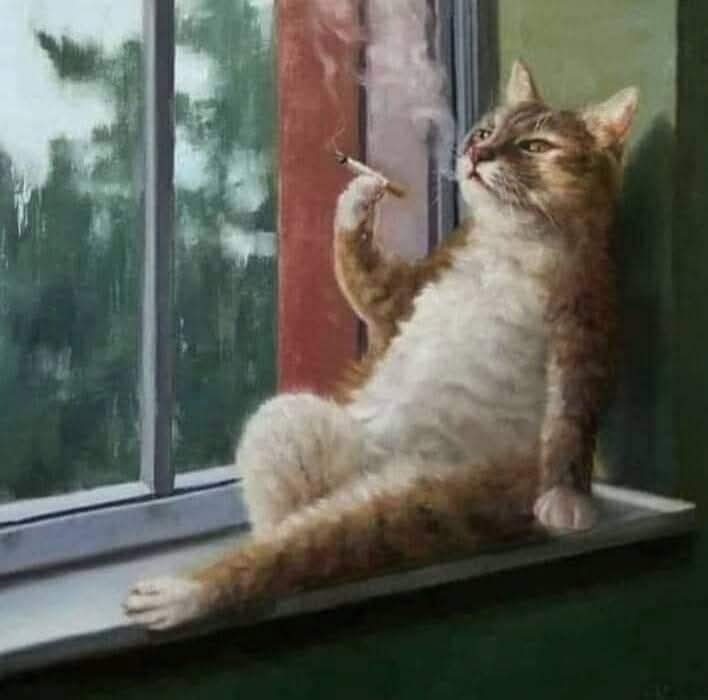 احكيلي عن إنجازاتك في 2025
- معاك ورقة ؟
= أه
- قطعها