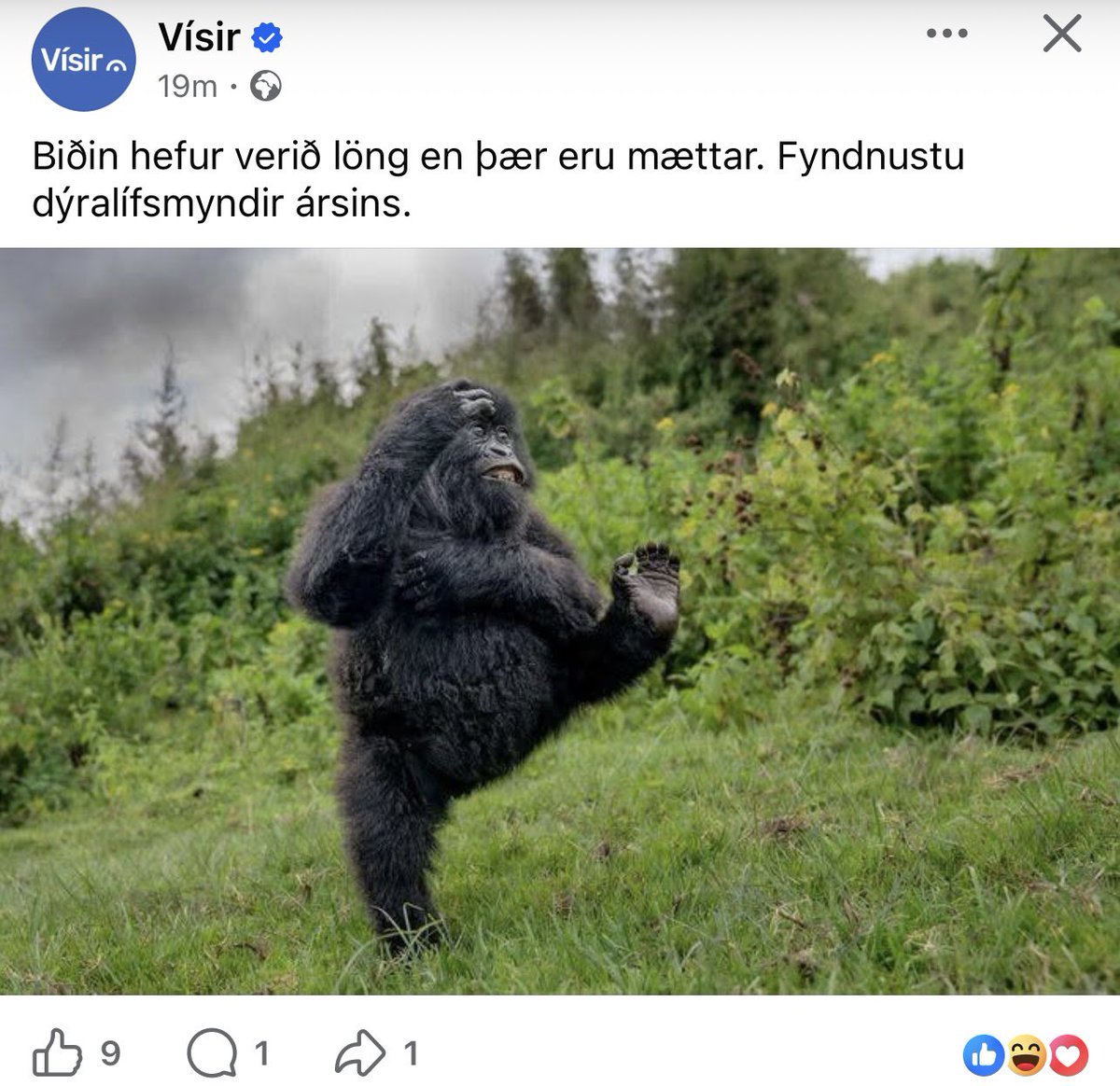 Cononymous tweet media