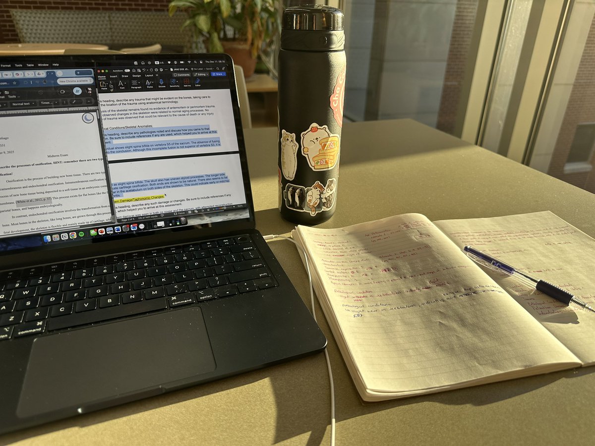 sammie ₊˚⊹ᰔ tweet media