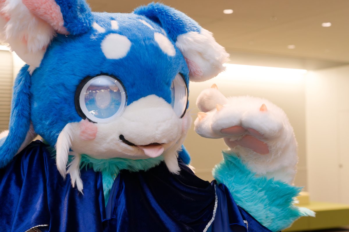 ハムねこ🍣 (@hamuneko1) / Posts / X