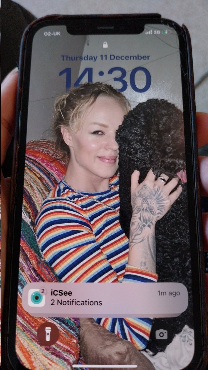 Flufibunny tweet media