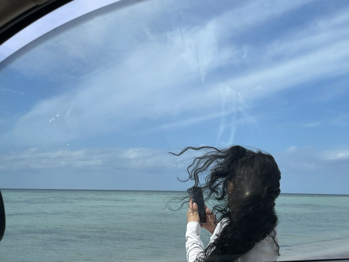 mal___8's tweet image. ودي انقذ ال١١ شخص بس ماودي اخاطر بالمكان