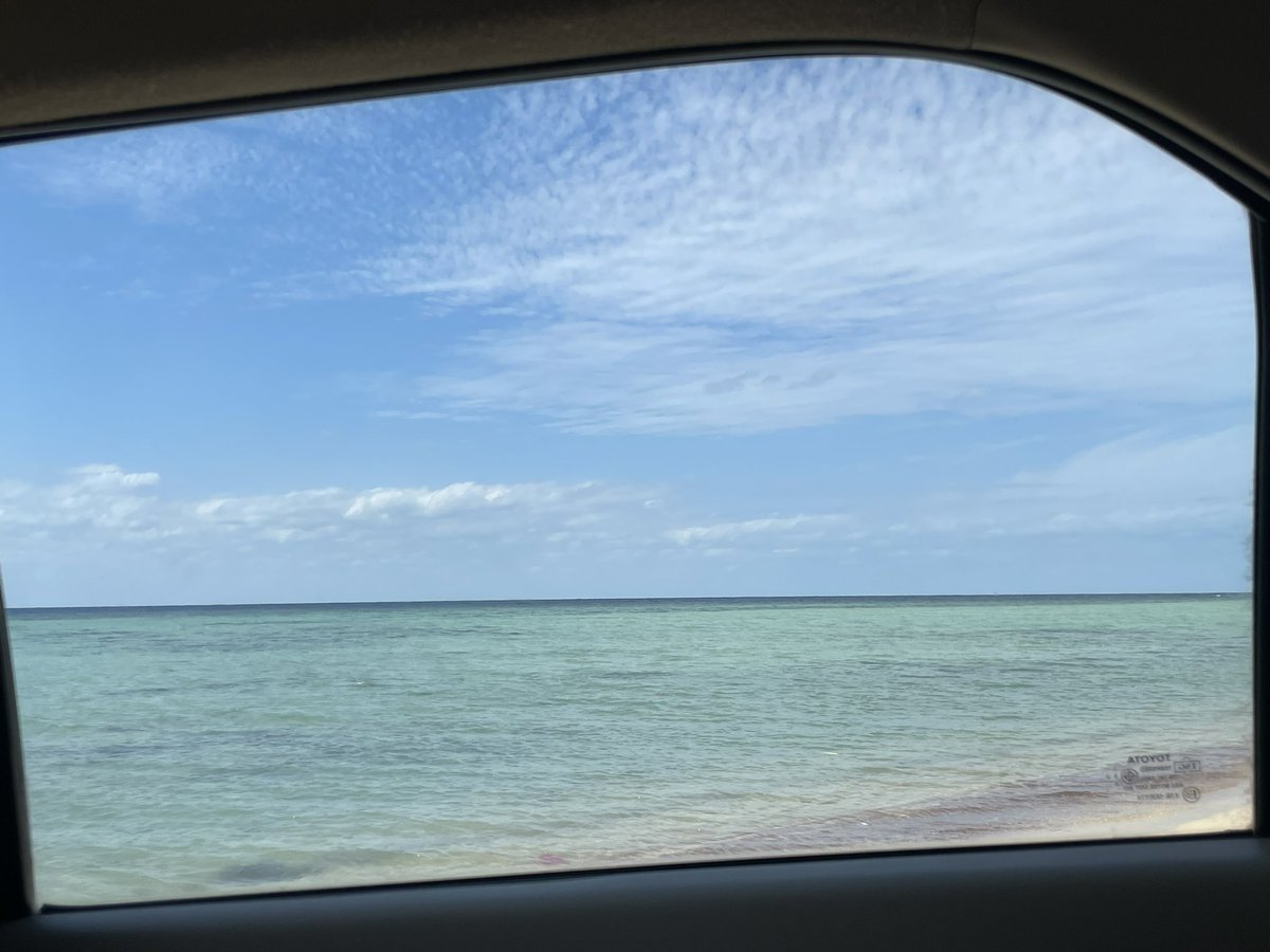 mal___8's tweet image. ودي انقذ ال١١ شخص بس ماودي اخاطر بالمكان