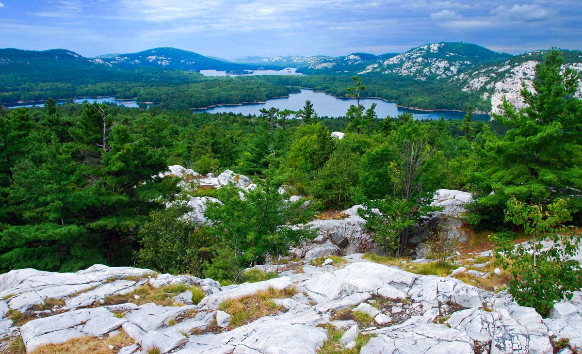 ButlerPhotos's tweet image. 'View from The Crack' at Killarney Provincial Park'
Photograph by JonButler.ca 
Visit youtube.com/@jonbutlerphoto    #art #photography #nature #beauty