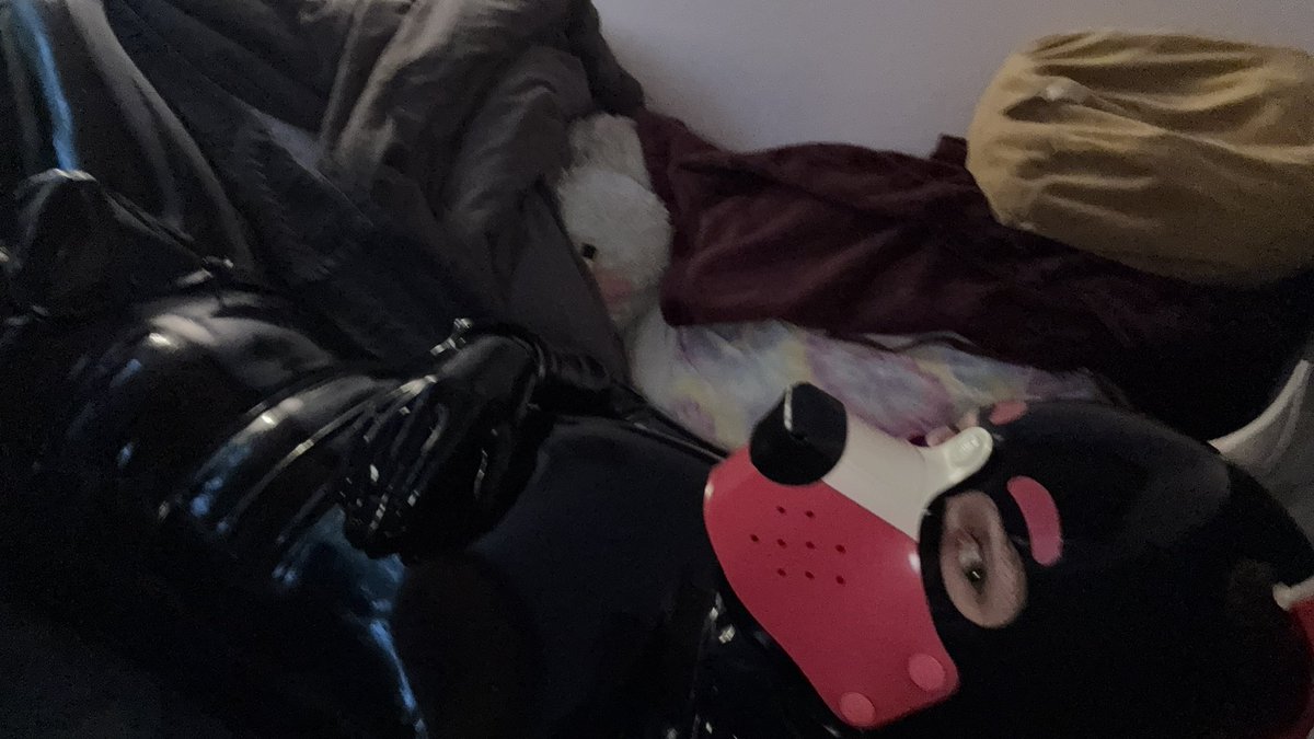 For my 1.5k special thanks, I’m letting you guys lock me in rubber with my timer lockbox. 

Don’t go easy on me, ends in 48 hours😈 

Like: 5 minutes 
Comment: 10 minutes (2 per account)
Repost: 30 minutes 
New follower: 1 hour (at 1543 now) 

#rubber #latexpup #lockedinrubber