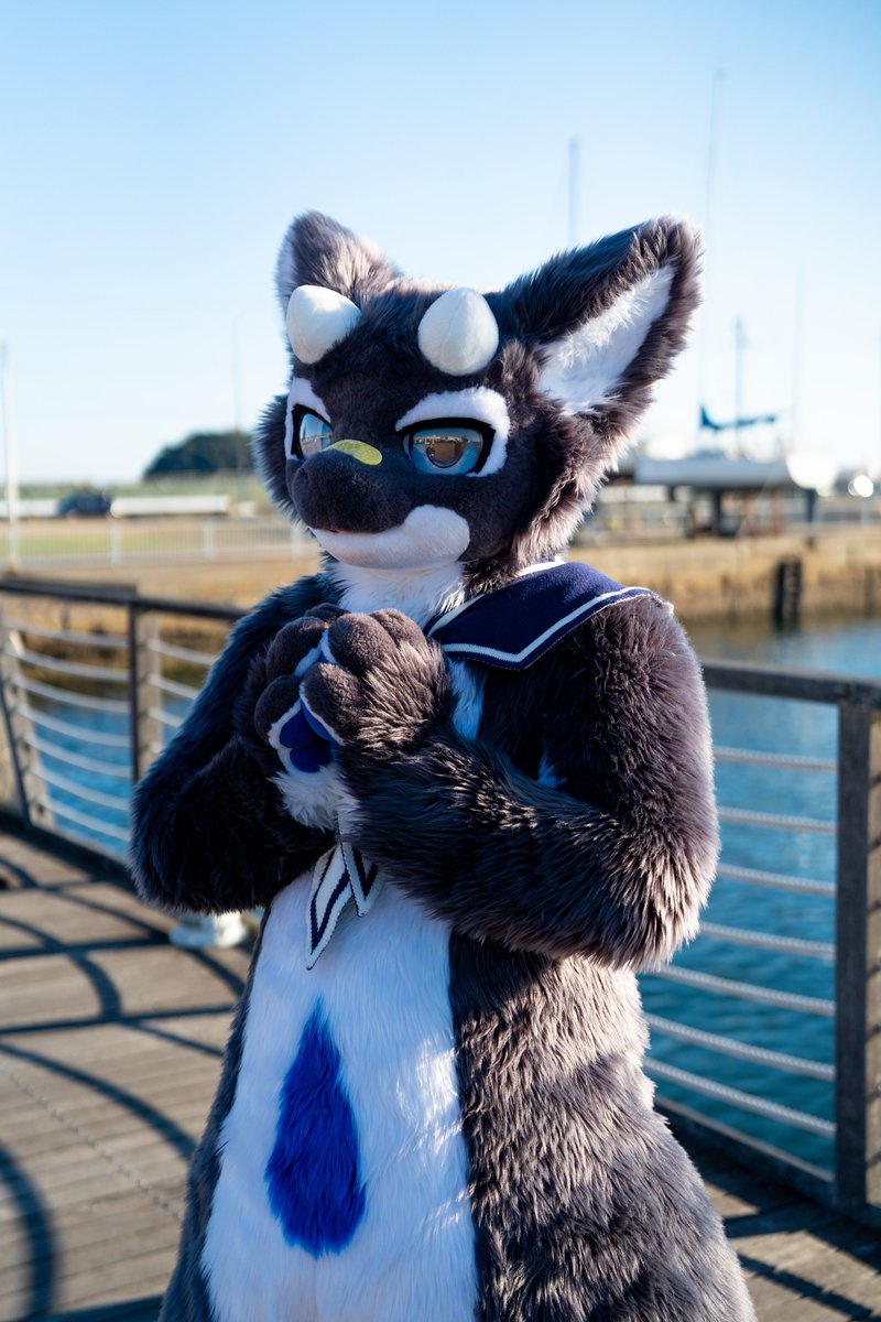 🙏

#FursuitFriday 
#獣人海洋学会2