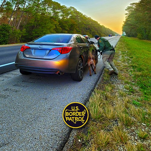 USBP New Orleans Sector tweet media