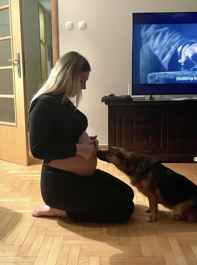 sandra djajic tweet media