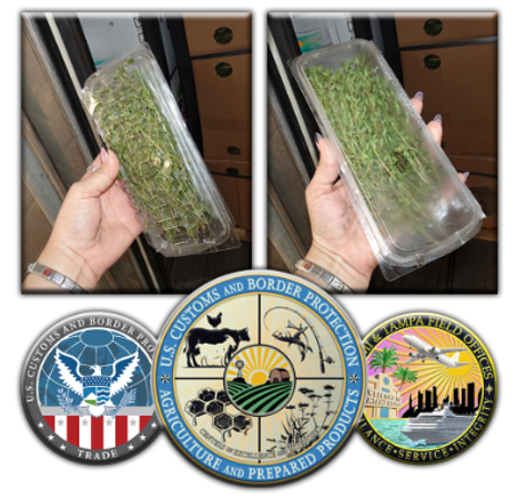 DFOFlorida's tweet image. Ever buy something and wonder, “Where was this made?” U.S. law (19 U.S.C. § 1304) demands most imports show their Country of Origin. @CBP keeps the trading field honest so you, the ultimate buyer, can make smart choices. Look for the label and #KnowTheOrigin. #APP #CBPCenters