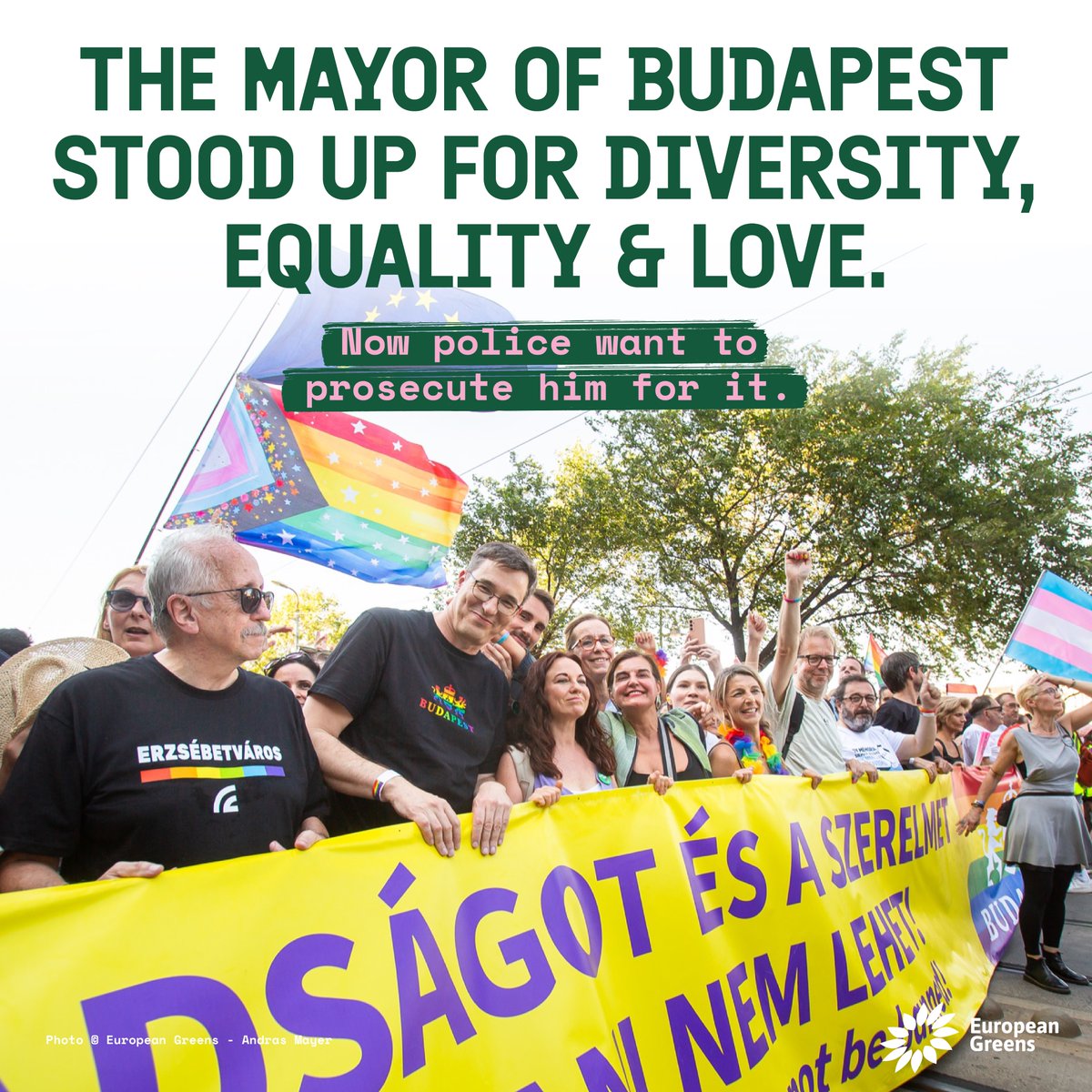 European Greens tweet media