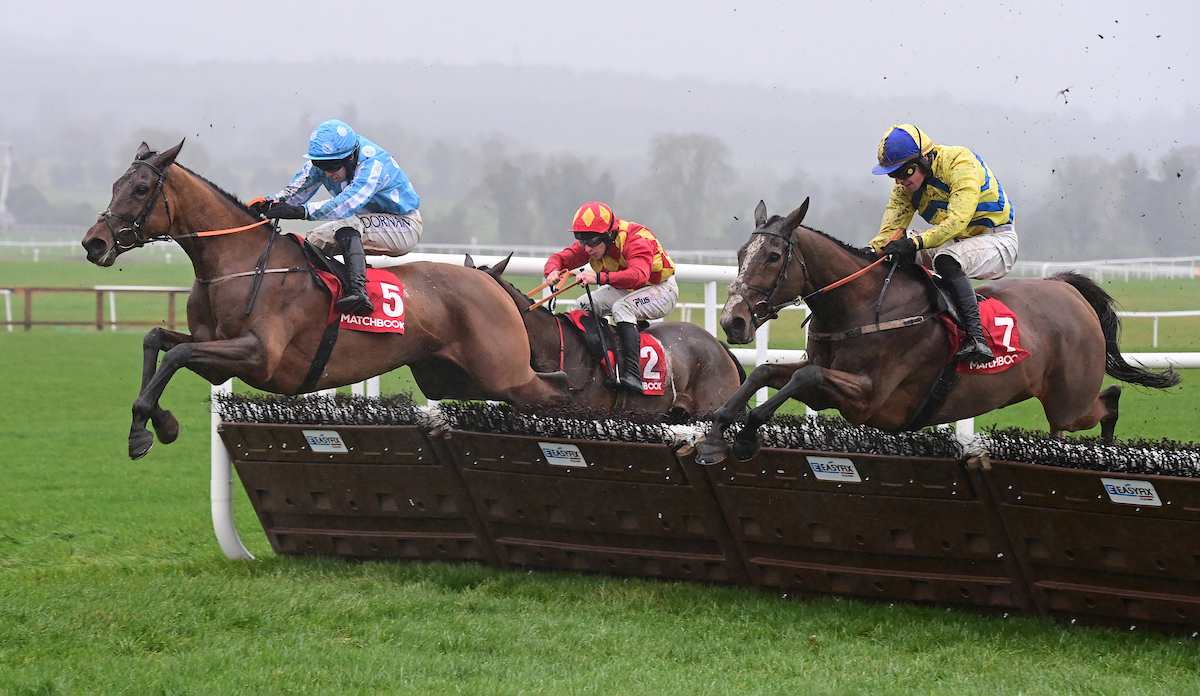 Tattersalls Ireland tweet media