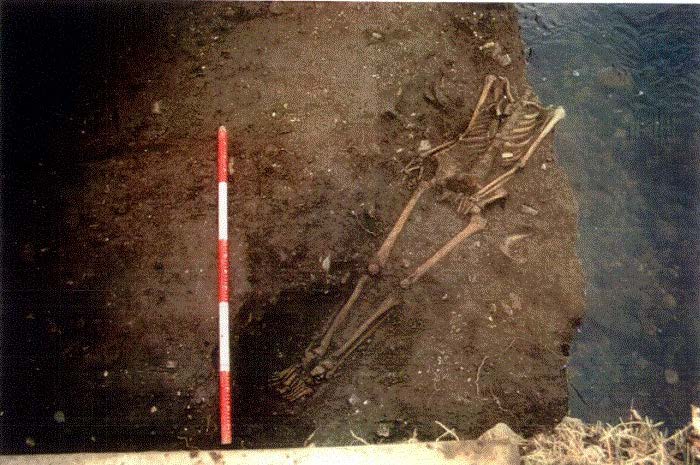 Fingal County Council tweet media