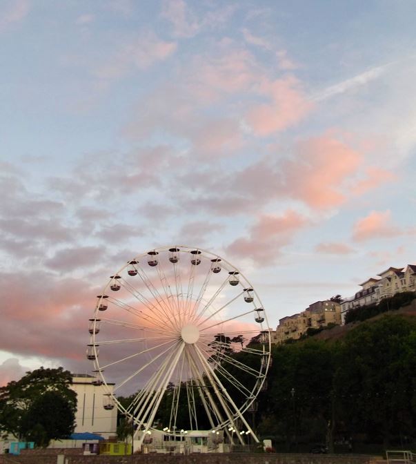 Gabrielle Stubbs tweet media