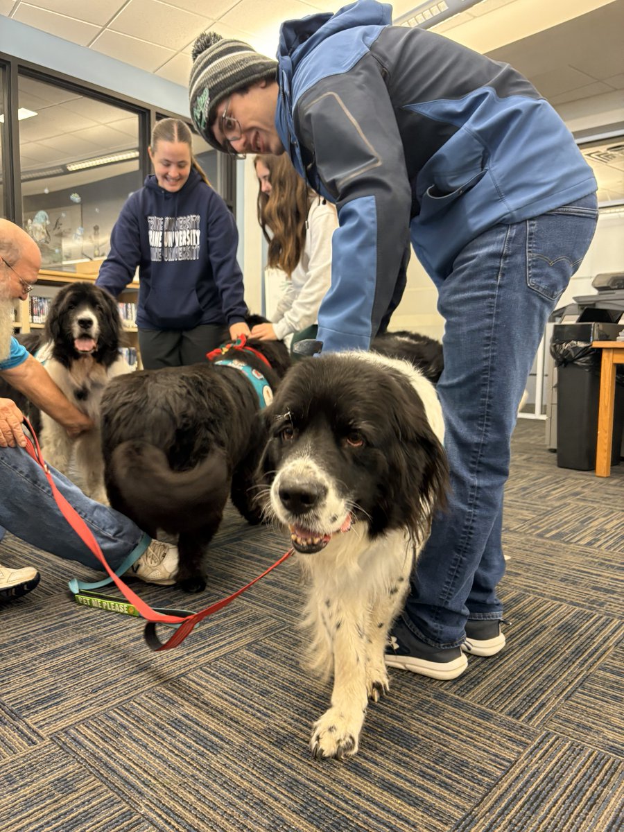 TrineUniversity's tweet image. Who doesn’t love a quick snuggle break from studying? 🐶 Emotional support dogs visited campus during finals week, giving students a chance to relax, recharge, and enjoy some much-needed cuteness. Keep going, Thunder Nation, you’re almost there!
#trineuniversity #finalsweek