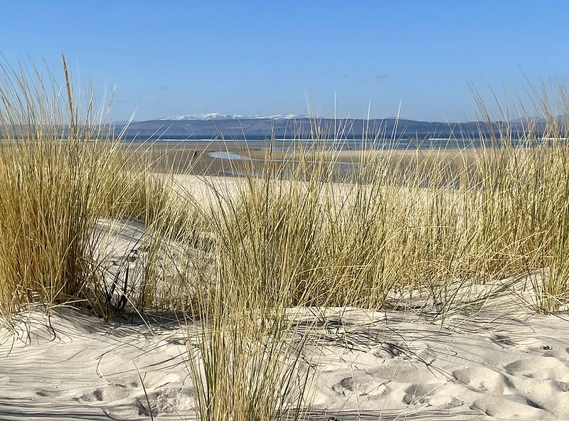 View of dunes on Nairn beach

Photo Keith Mutch