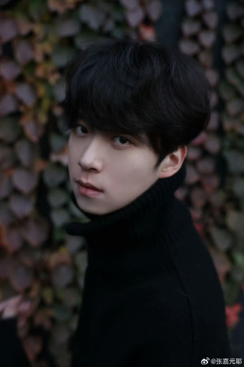 ZJY Update TH tweet media