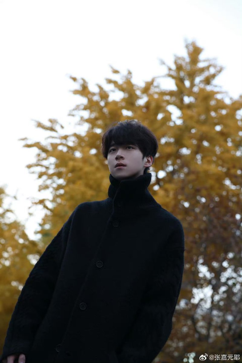 ZJY Update TH tweet media