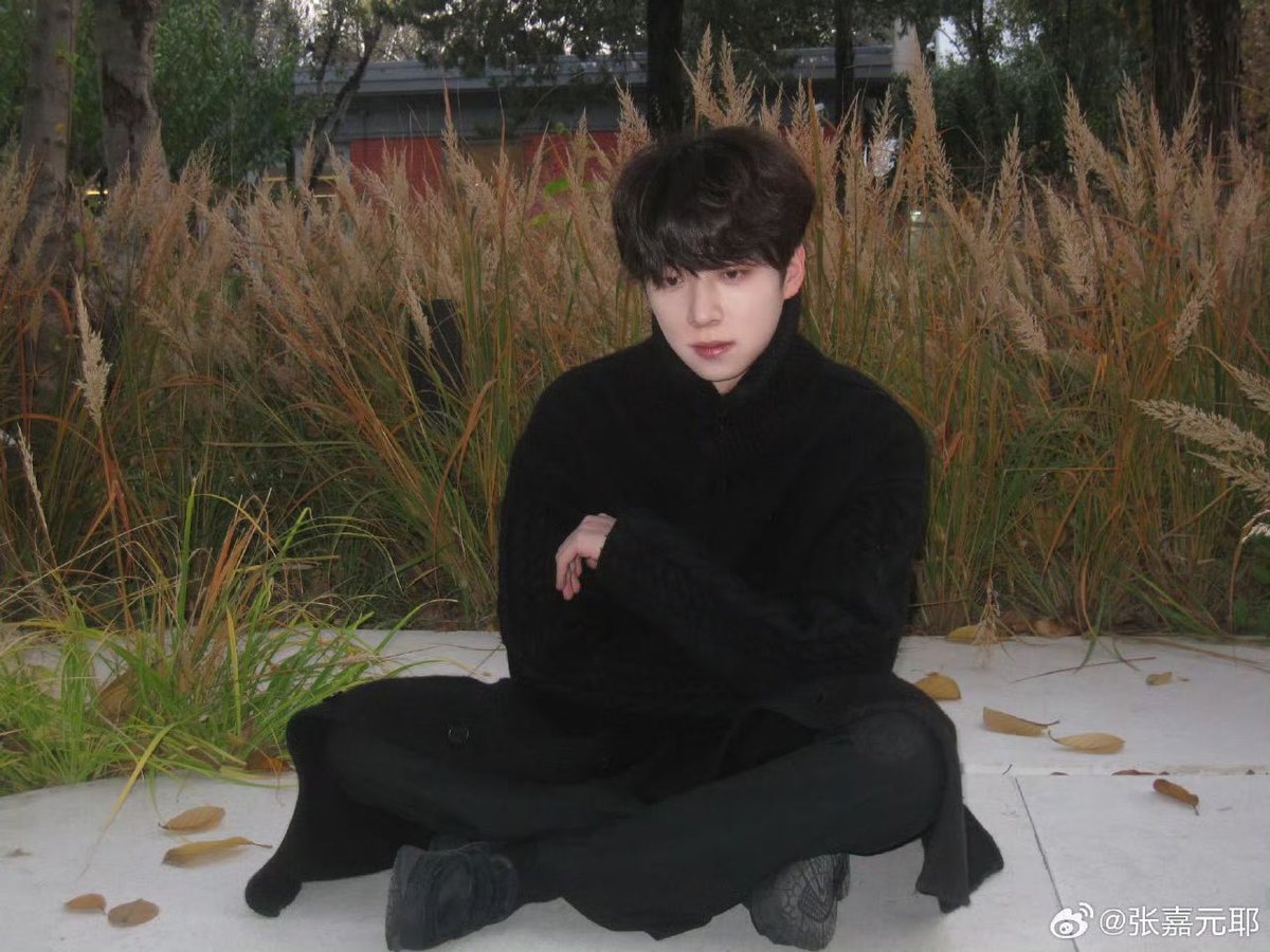 ZJY Update TH tweet media