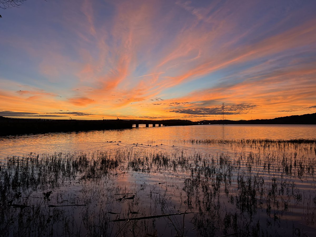 Scott Cupp tweet media