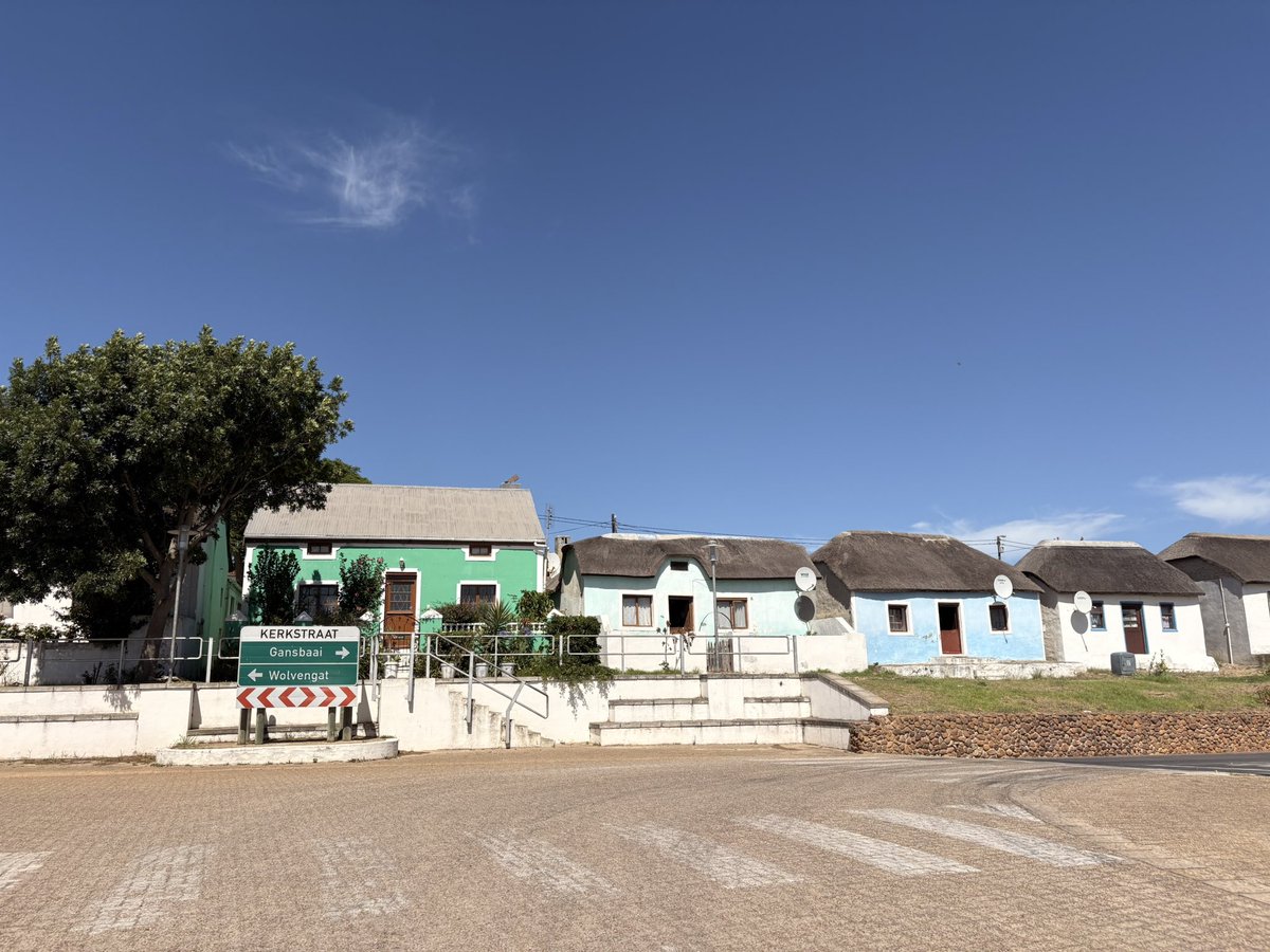 Frieda Lloyd tweet media