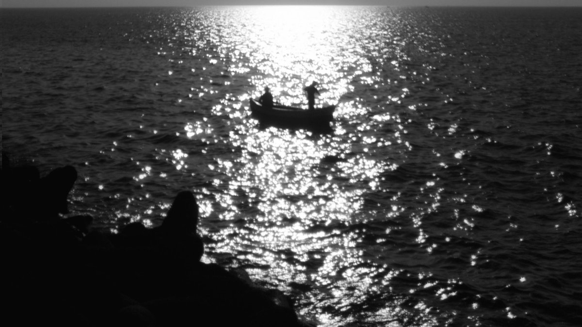 cinesansar tweet media