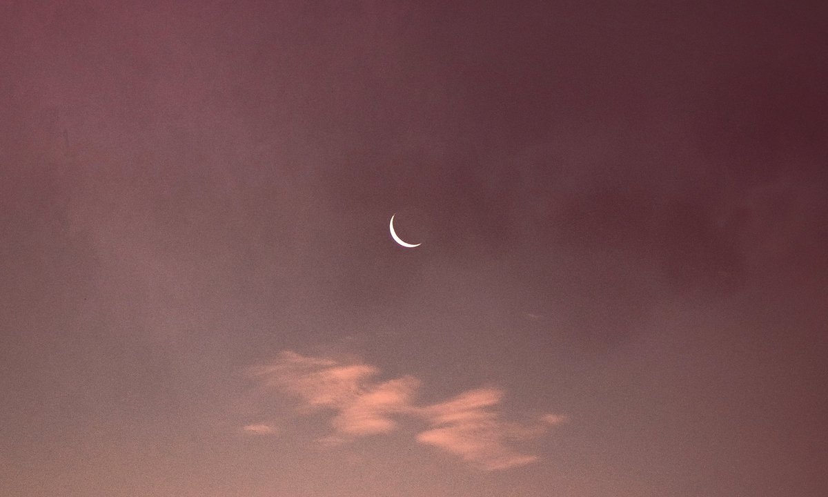 studio ghibli (@gardenofghibli) on Twitter photo 