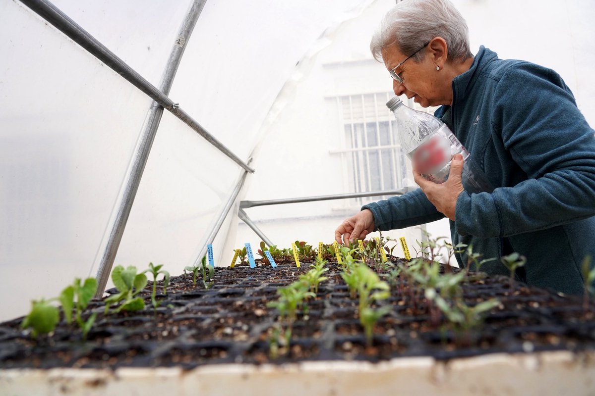 ❤️ #CáritasValencia Esta Navidad apoyamos a más de 2.700 familias para que puedan vivir con dignidad: alimentación adecuada, un hogar seguro y tranquilidad para seguir adelante.

Tu gesto puede marcar una diferencia real #DonaambCor
🤲 caritasvalencia.org/dona/?utm_sour…