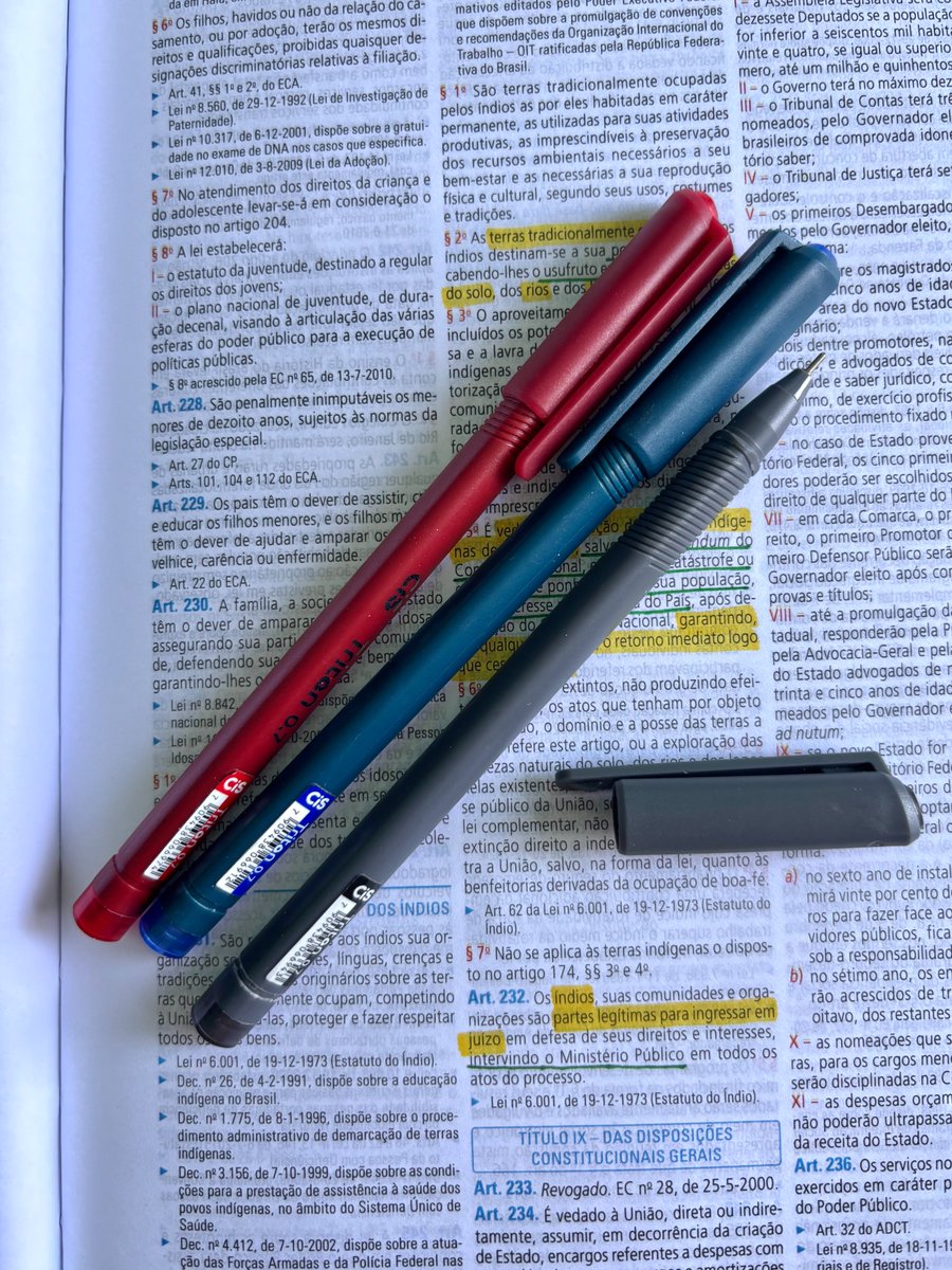 Bequinha tweet media