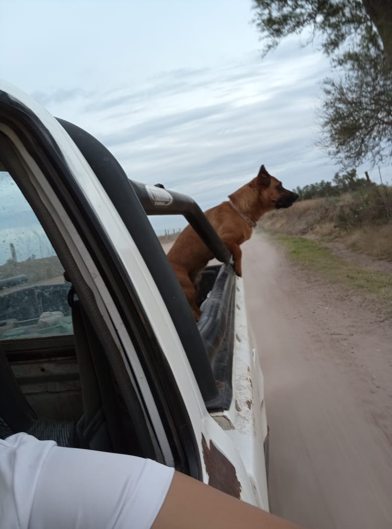 Lolo, simple la bestia. Jajaja