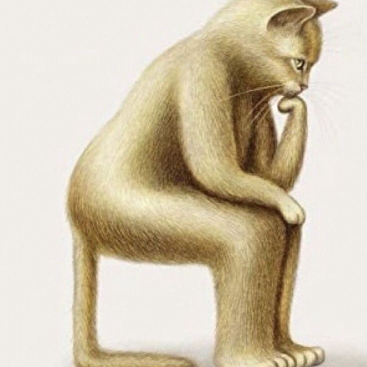 _jovipe's tweet image. lembrando de quando fiz uma resenha no ensino medio falando que Shakespeare Apaixonado era um filme de sessão da tarde (sem saber nada da historia do oscar e sem me importar com o filme) so pq odiei que a professora passou ele na aula... e ela riscou essa parte da minha resenha