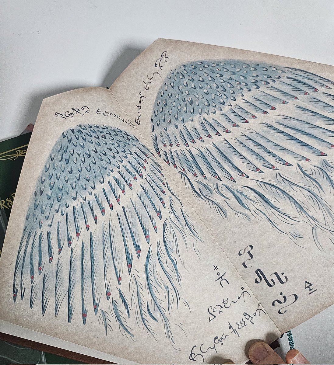 하 왔다네 오타쿠 필수용품 그리머리