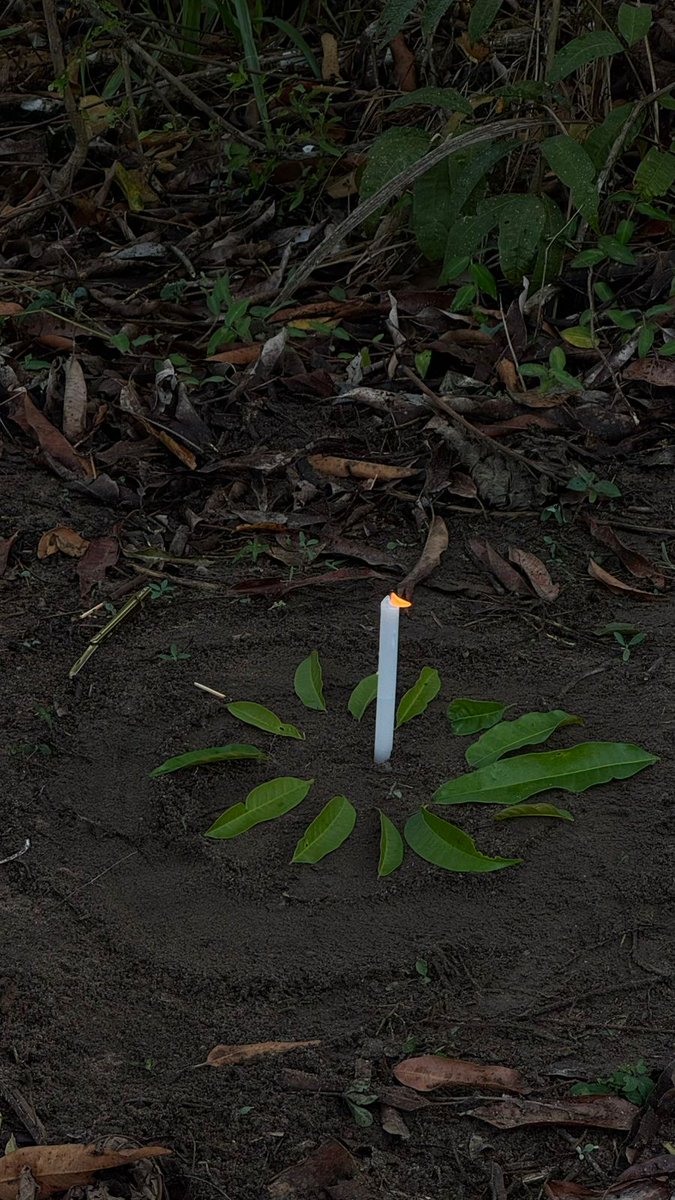 Orisas Encantados ✨ tweet media