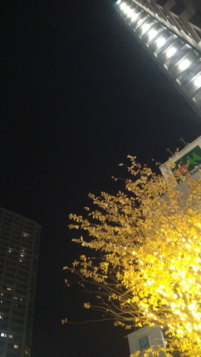 Radio_Ethiopia2's tweet image. 山平重樹「本牧ルードボーイ CHIBOW 永遠の反逆」さくら舎(2025年)
#CHIBOW #PowerHouse
#Mojos #SKA9
#本牧 #横浜

腹が減った。
壱角家で、ラーメン+ライス3。🫠
#イマソラ
#壱角家　#ラーメン🍜