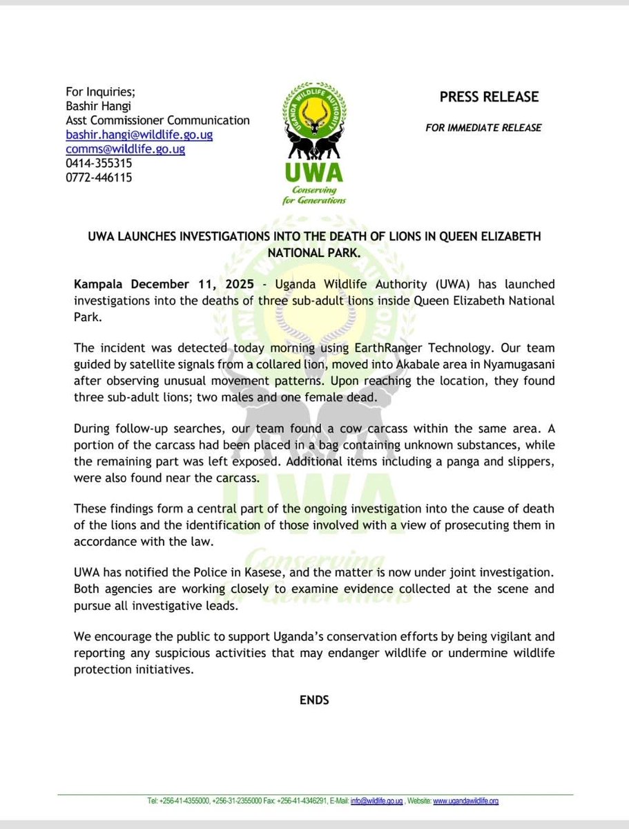UGANDA!🇺🇬 2 male &amp; 1 female sub-adult Lions have been poisoned inside Queen Elizabeth Nat Park. Insiders report many Vultures have also ingested the poison on a Cow Carcass &amp; possibly another 4 Lions. Communities have invaded QEP! What  Lion Charities &amp;NGOS doing to save lions!