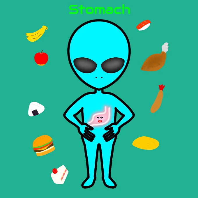 らくがき 12/11は『胃腸の日』 健康な胃腸で美味しいモノいっぱい食べた〜い #らくがき #イラスト #胃腸の日